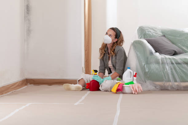 Reliable Mold Remediation contractor in Bridgewater, NJ by Cheap Mold Removal